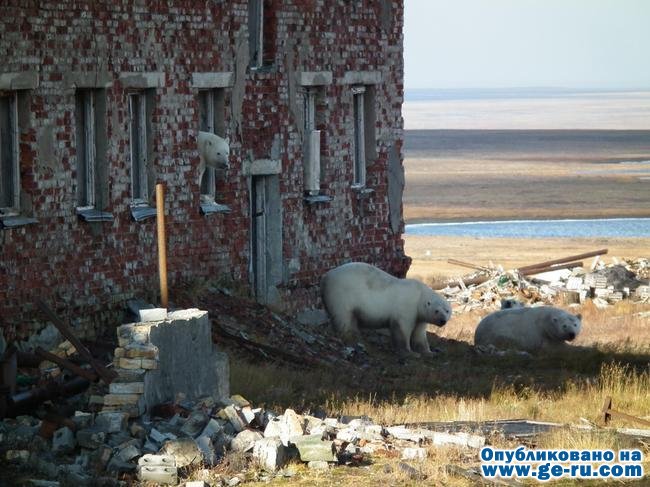 Рогачёво.jpg