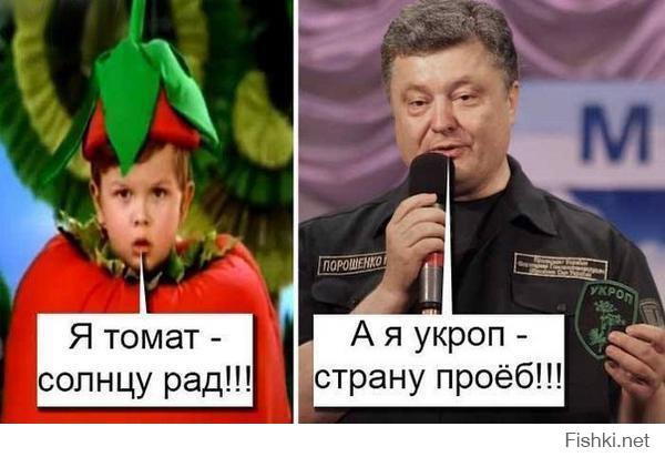 -ТОМАТ-СОЛНЦУ-РАД-А-Я-УКРОП-СТРАНУ-ПРОЁБ.jpg