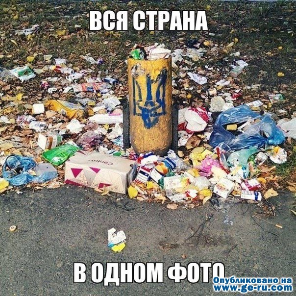 Я-Ватник-политика-песочница-политоты-урна-1626688.jpeg