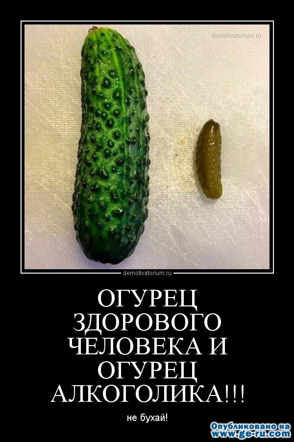 demotivatorium_ru_ogurec_zdorovogo_cheloveka_i_ogurec_alkogolika_47644.jpg