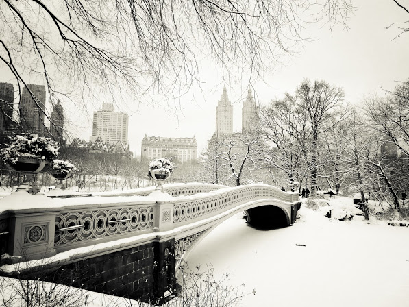 new+york+winter+-++central+park+snow+--.jpg