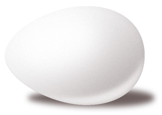 the-egg.jpg